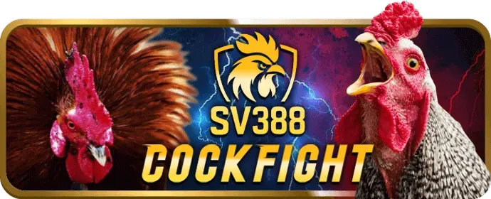 Cấp Độ VIP Kim Cương xs99